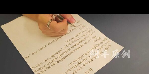 202602第一期精彩推荐